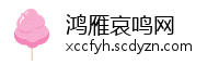 鸿雁哀鸣网